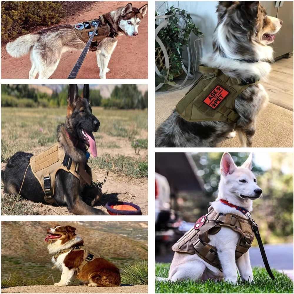 Luxury Tactical Dog Harness + Leash Set — 1000D Nylon, Camouflage & Solid Colors