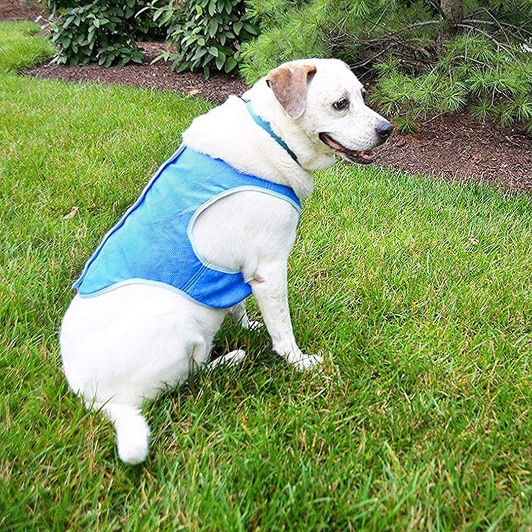 Dog Summer Cooling Vest, Pet Cooling Clothes Dog Cat Cooling Vest, Summer Heat Relief Vest Pet Dog Clothes Summer Clothes For Dogs Dog Cooling Vest